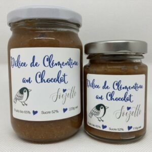 Délice de Clémentine au chocolat